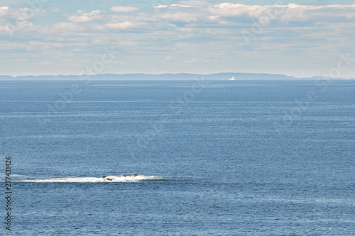 An iceberg floating in the ocean off the east coast of Newfoundland Canada. Iceberg alley brings large bergs from Greenland down the coast of Newfoundland and Labrador. 