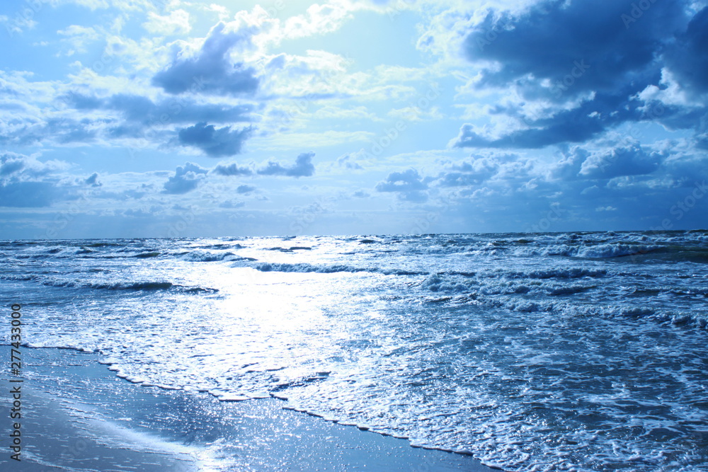 Fototapeta premium nature