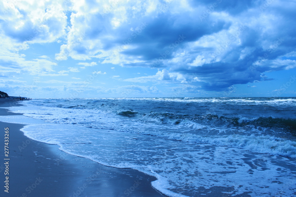 Fototapeta premium nature