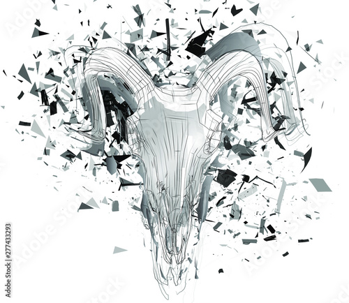 Vector abstract chaotic background. exploded lamb skull
