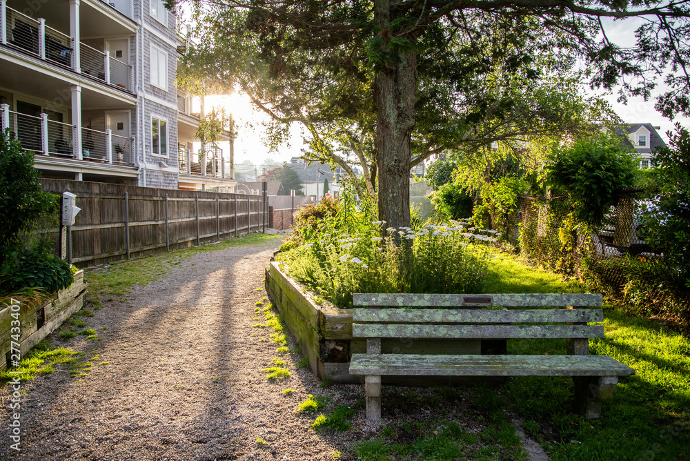 bench on the morning bench on the morning