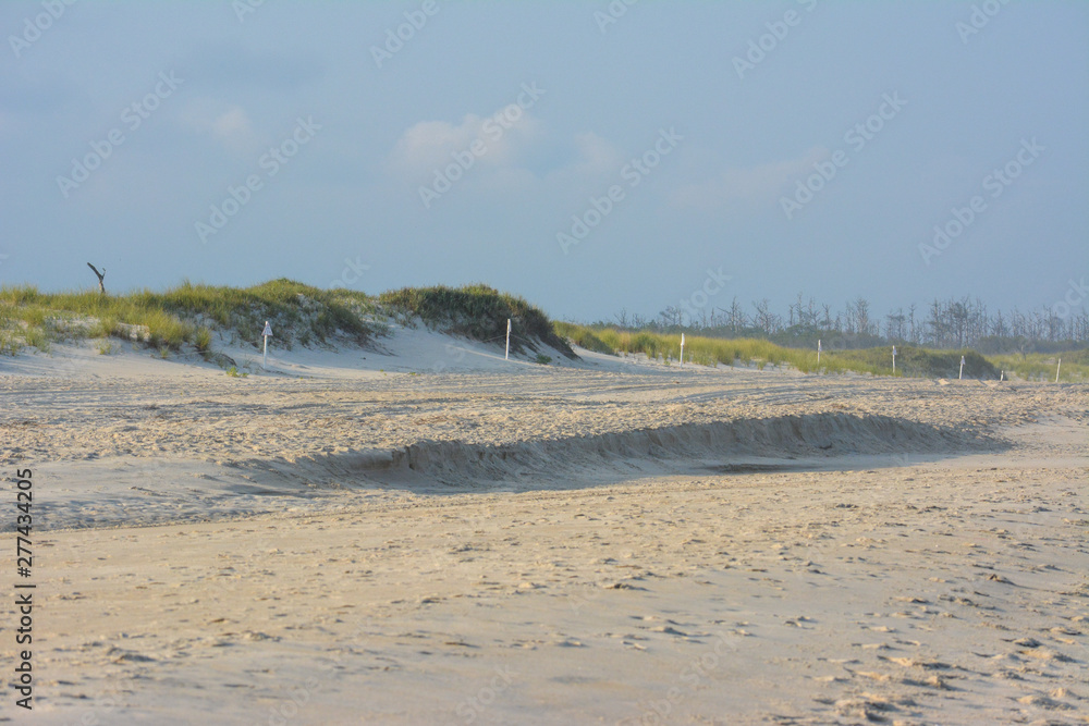 Assateague Island National Seashore beach Assateague Island National Seashore beach