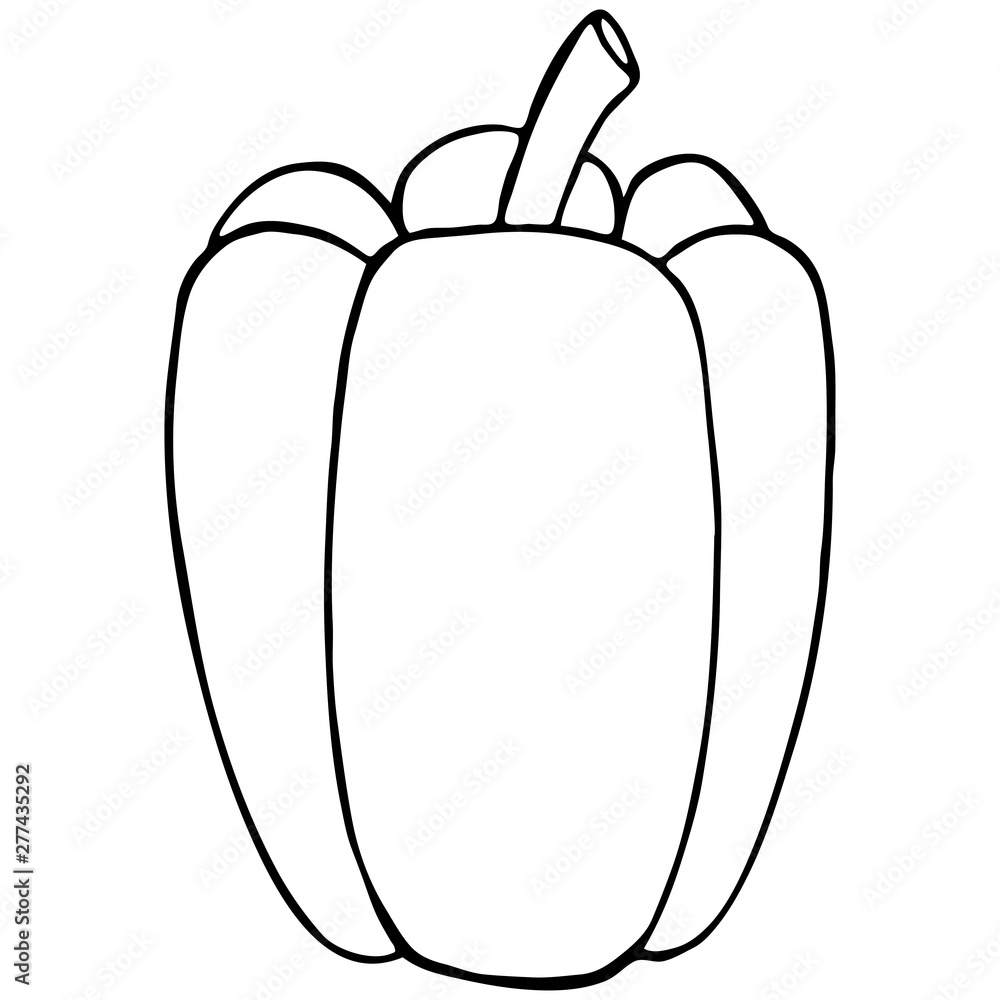 Outline vegetable pepper Outline vegetable pepper