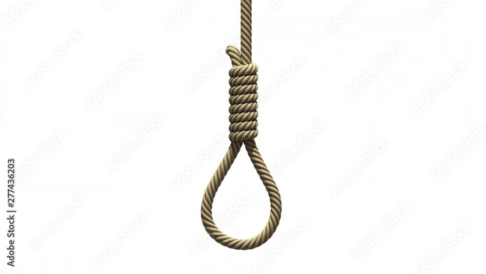 Hangman's noose on a white background. A rope with a knot for suicide or execution by hanging falls from above, swings from side to side like a pendulum and stops. 3D animation with alpha matte. Hangman's noose on a white background. A rope with a knot for suicide or execution by hanging falls from above, swings from side to side like a pendulum and stops. 3D animation with alpha matte.