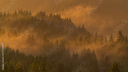 Colorful sunrise over the foggy forest