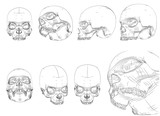 vector set on white background. human skull of black lines