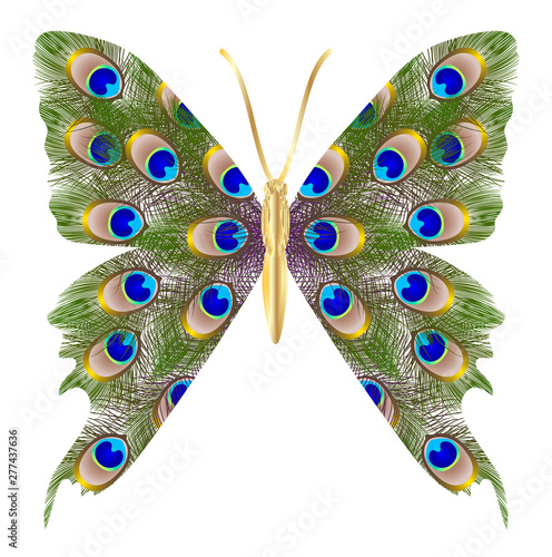 Beautiful butterfly peacock feather.Vector illustration