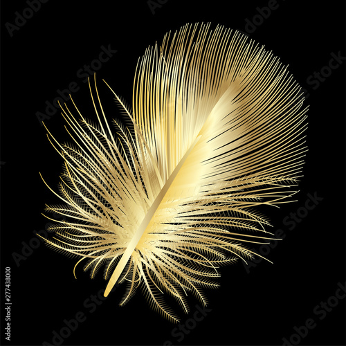 Feather isolated . Vector illustration.