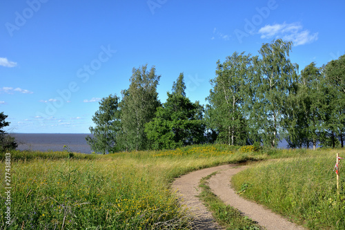 Summer landscape: a dirt road in a green field and a birch grove against a lake and a blue cloudy sky. Lake Ilmen Novgorod region. European landscape with birch trees and a lake