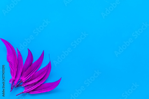 abstract pattern with bright bird feathers on blue background top view space for text