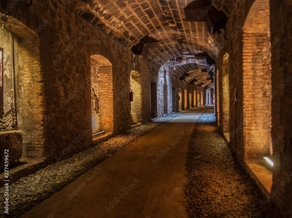 tunel de minería para extracción con ferrocaril