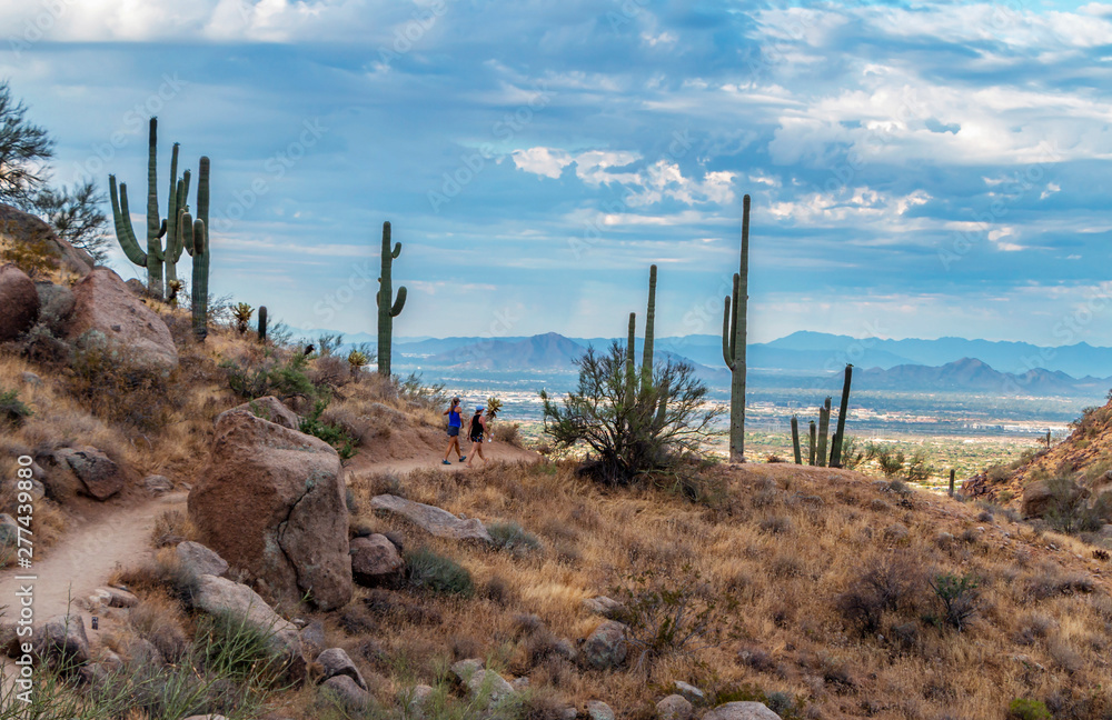 Hikers On Elevated Desert Trail In Scottsdale, AZ,