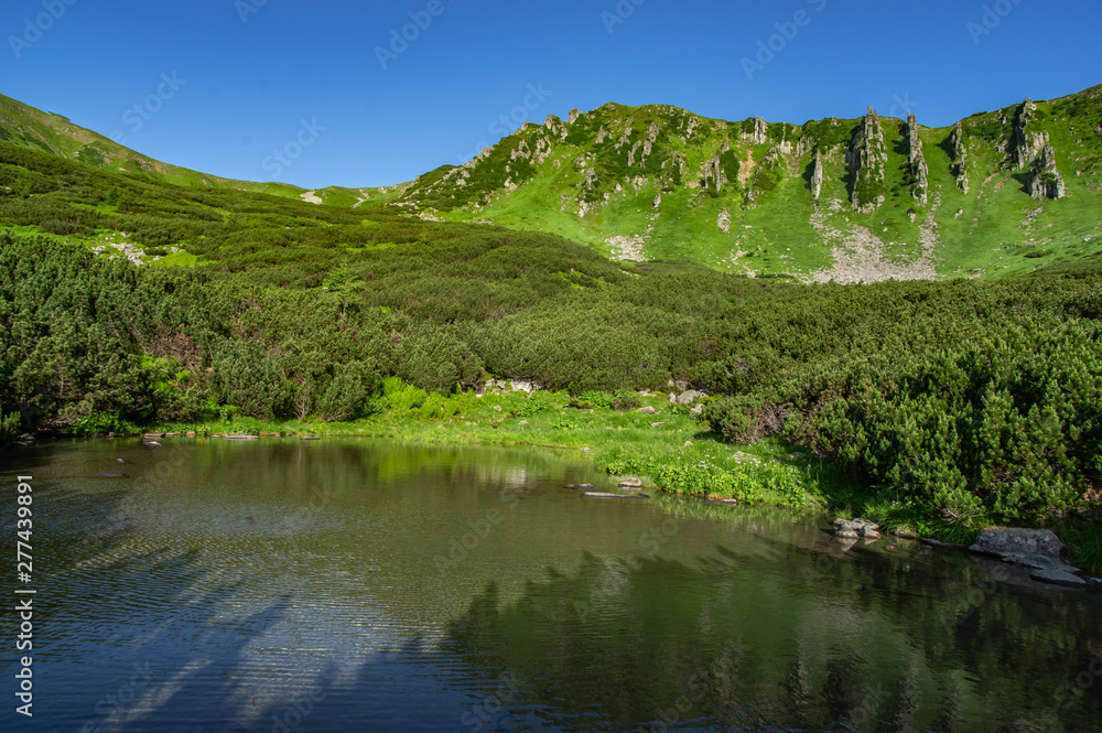 Mountain lake in the Carpathian mountains Mountain lake in the Carpathian mountains