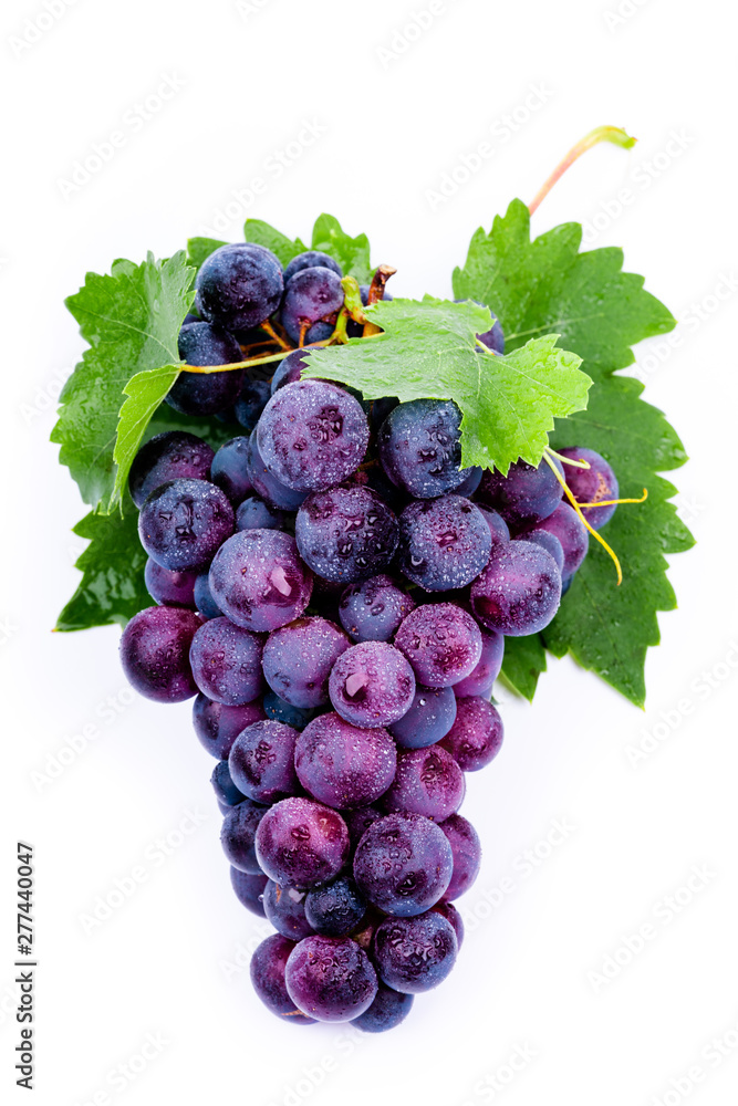 Fototapeta premium purple grapes with water drops on white background