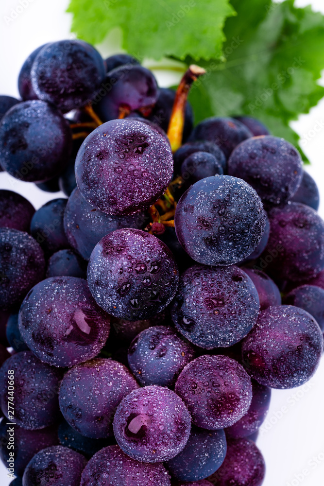 Fototapeta premium purple grapes with water drops on white background