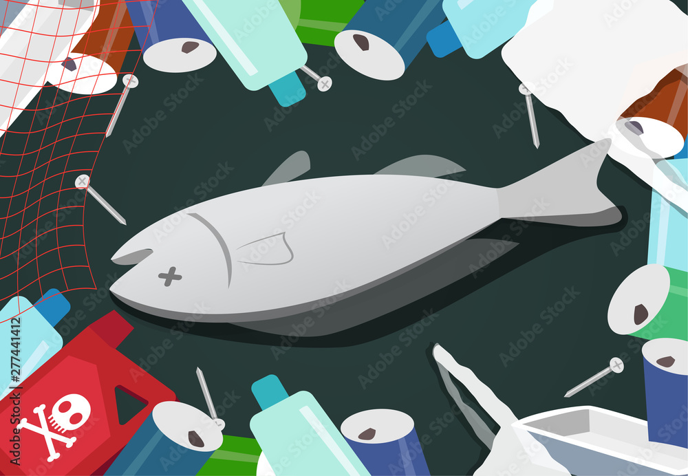 Corpse fish in pile of junk at sea pollution Corpse fish in pile of junk at sea pollution