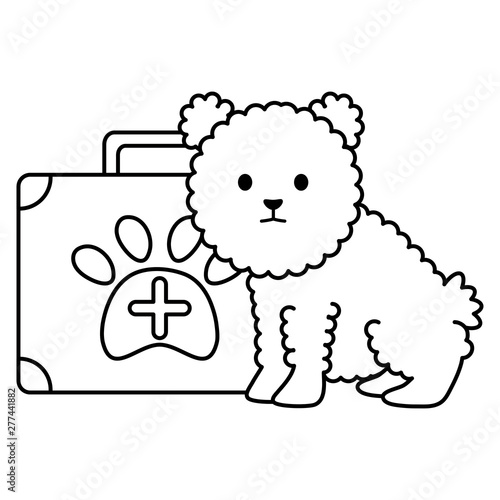 little dog adorable with medical kit