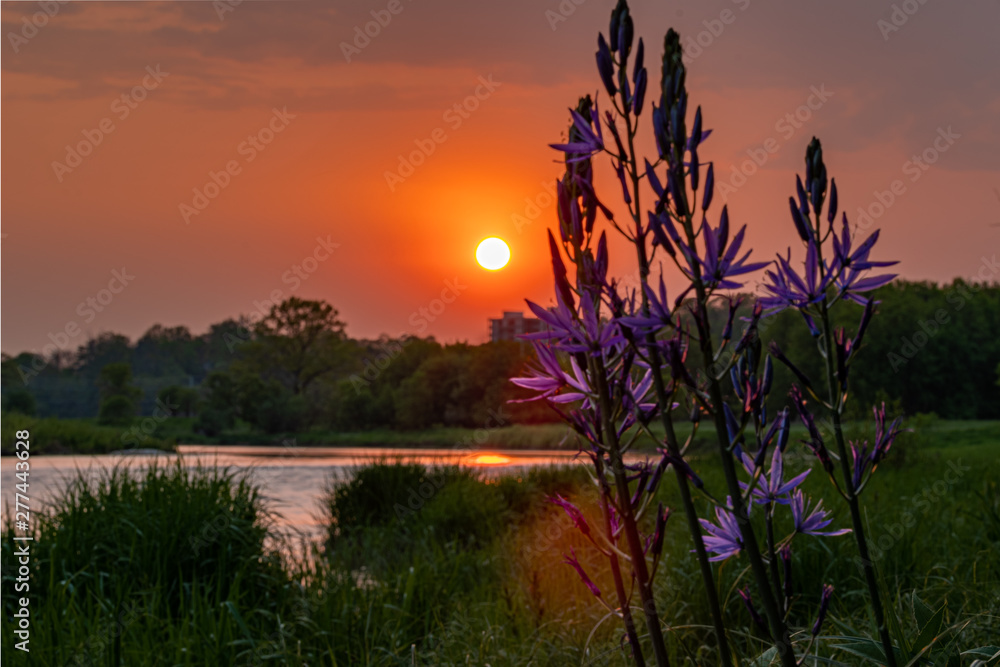 Obraz premium Hazy Sunset