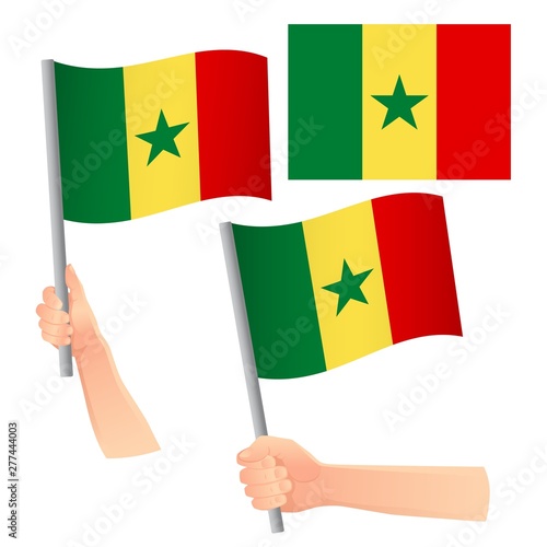 Senegal flag in hand set © Visual Content