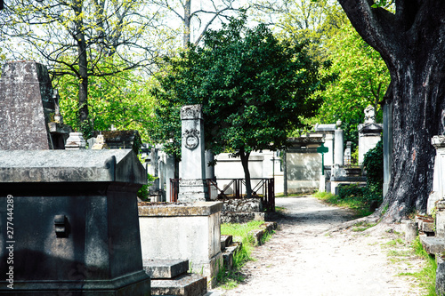 Tombstones in cemetery at dusk, gothic style crosses Paris photo