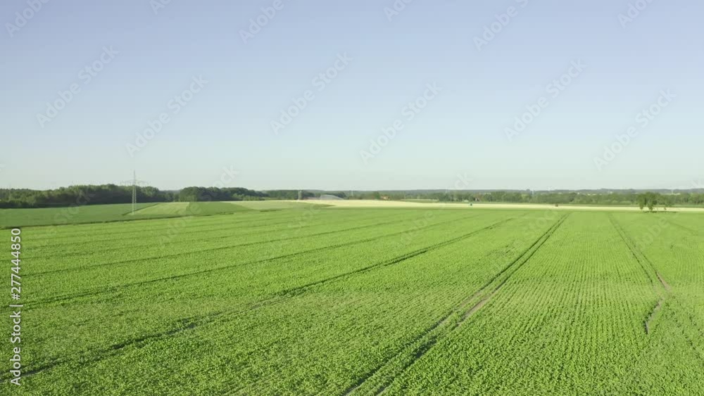 Aeria view of farmland. Drone flying above green open fields and next to trees. Aeria view of farmland. Drone flying above green open fields and next to trees.