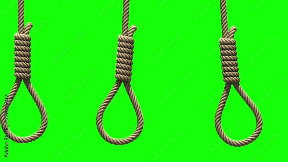 Camera movement along Hangman's nooses, 3D animation on green screen. Ropes  with knots for suicide or execution by hanging are swinging from side to  side like a pendulums, seamless loop. Stock Video