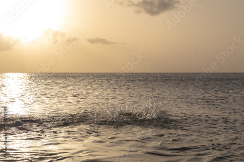 couch   de soleil sur la mer des cara  bes