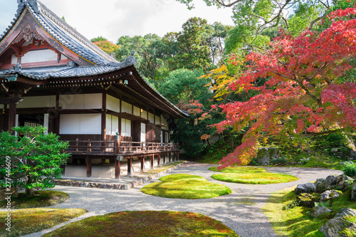 京都 醍醐寺 三宝院の庭園 紅葉