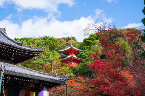 京都　今熊野観音寺の紅葉