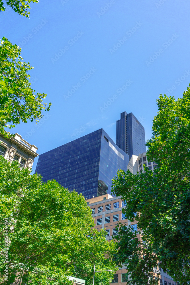 building skyscraper in city looking up through trees