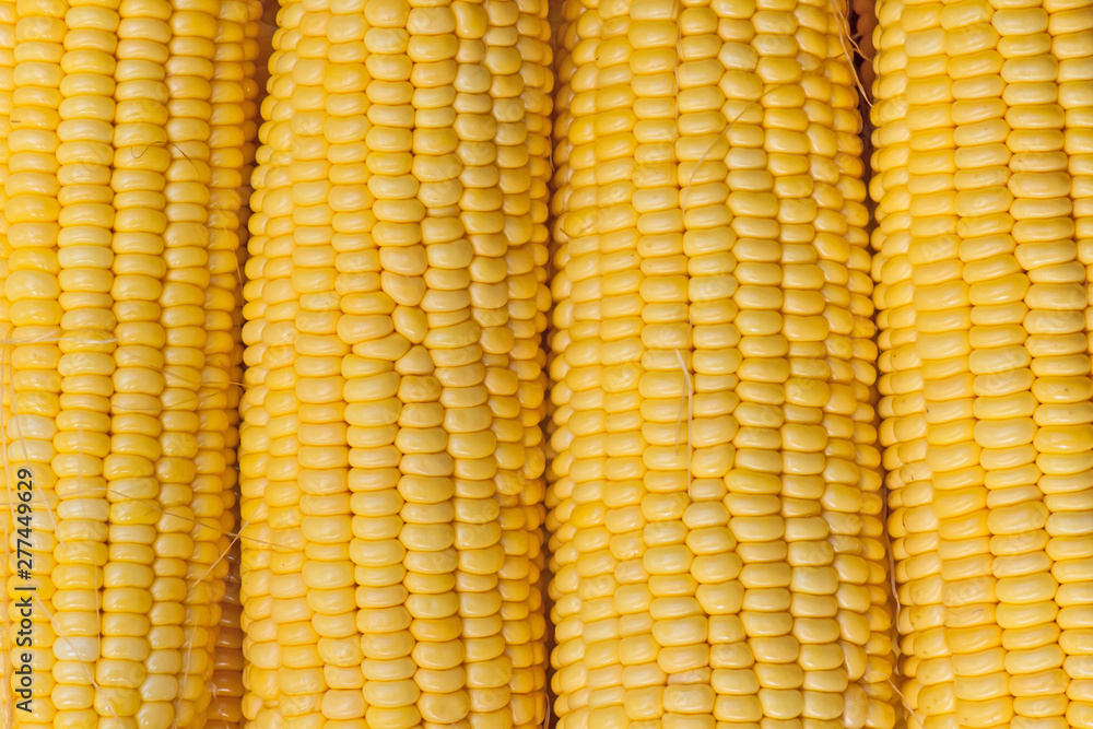 Corn Corn