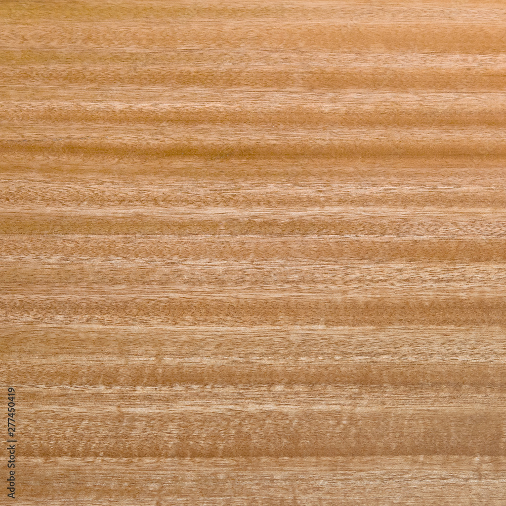 Fototapeta premium wood background