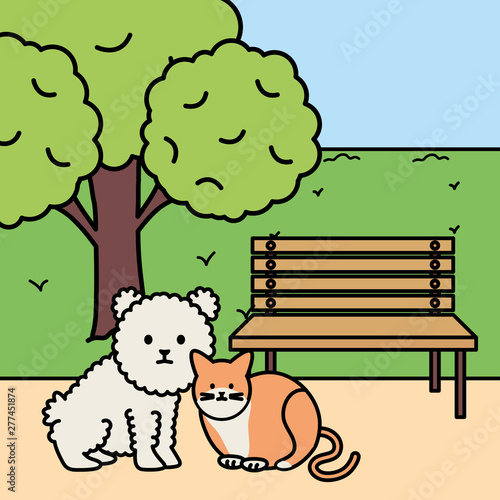 cute cat and dog mascots in the landscape © Stockgiu