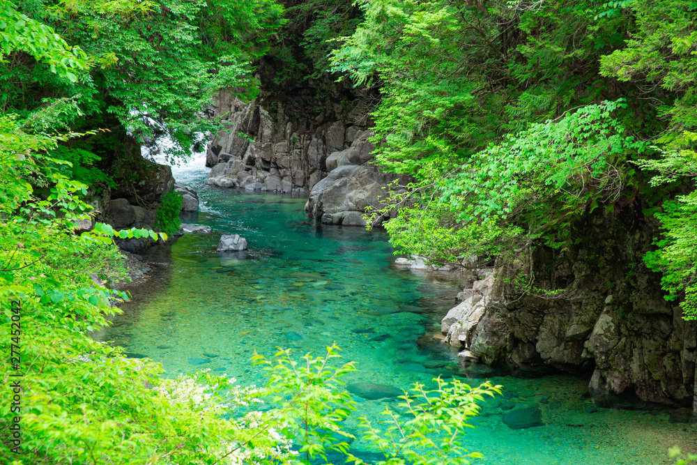 Naklejka premium 新緑の阿寺渓谷
