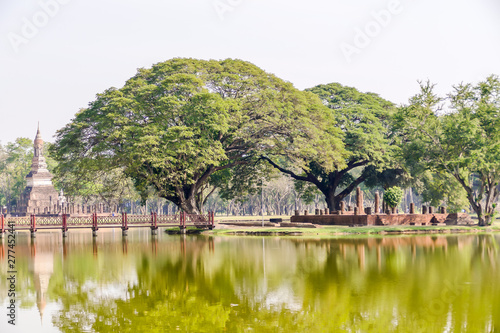 japanese garden with palm trees and pond, digital photo picture as a background photo