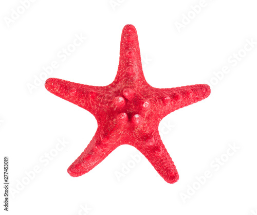 Dried red starfish on white. Photo