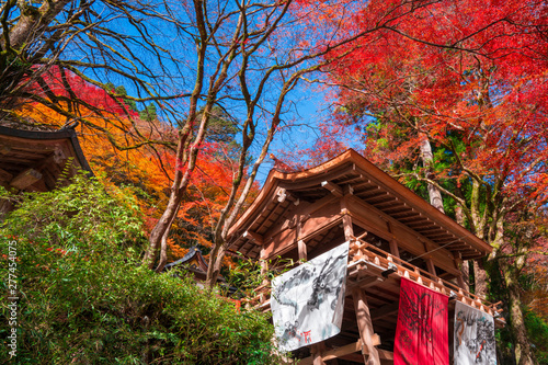 京都　貴船神社の紅葉　 photo