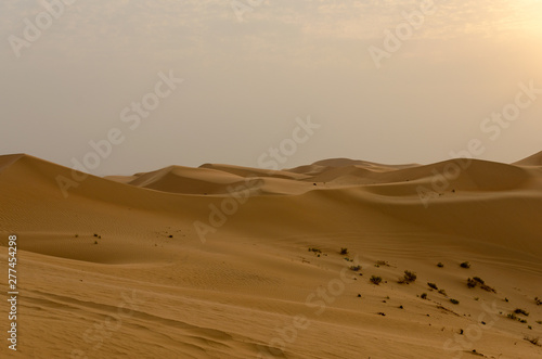 arabian desert