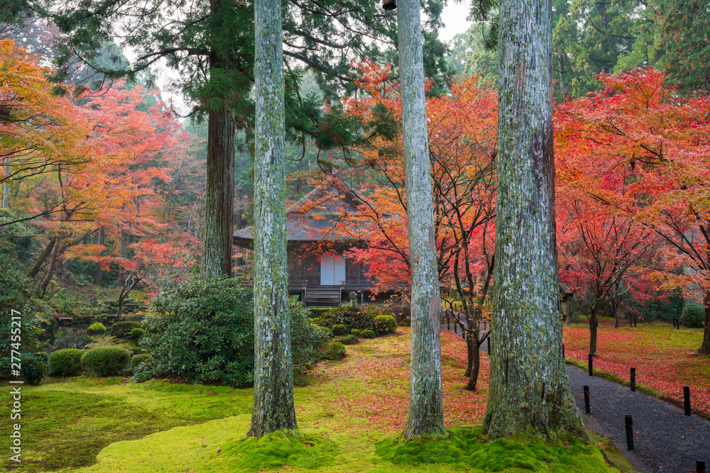 京都大原三千院の紅葉有清園stock Photo Adobe Stock