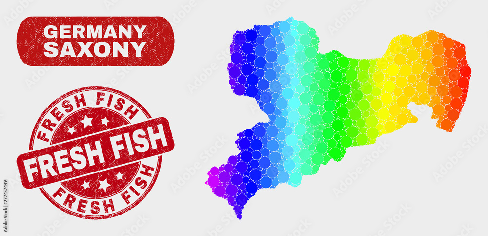 Rainbow colored dot Saxony Land map and stamps. Red rounded Fresh Fish textured stamp. Gradiented rainbow colored Saxony Land map mosaic of randomized circle elements.