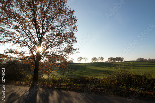 beautiful country road with rural fall landscape