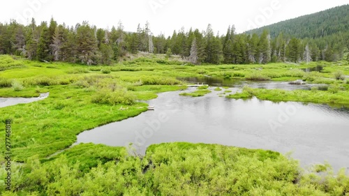 Flying Low Over Sub Alpine Meadow Near Truckee California - Aerial Drone. photo