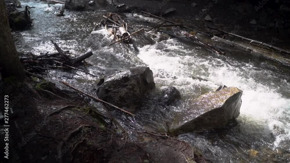 Stream Flowing Through Beaver Dam Slow Motion Stream Flowing Through Beaver Dam Slow Motion