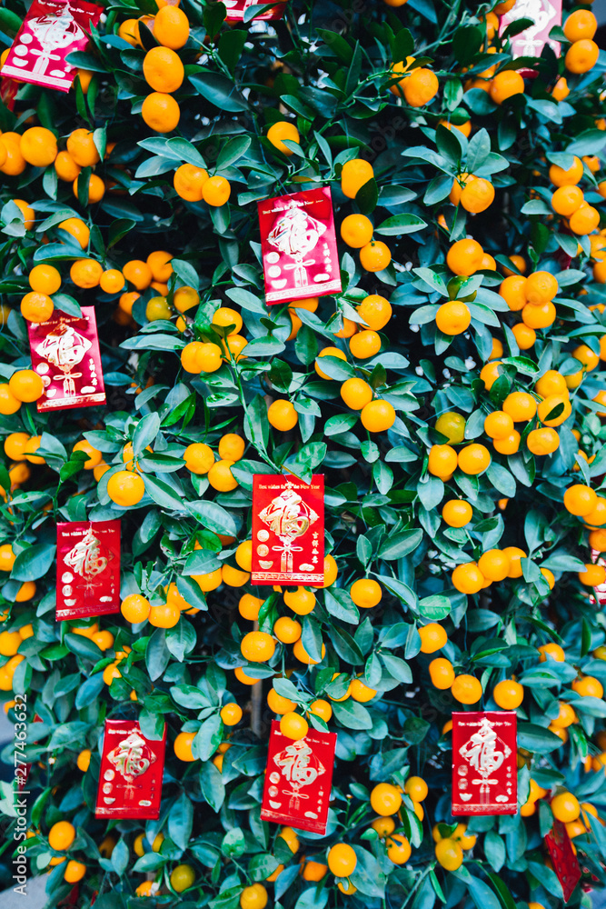 tangerines and new year's red envelopes for Chinese new year
