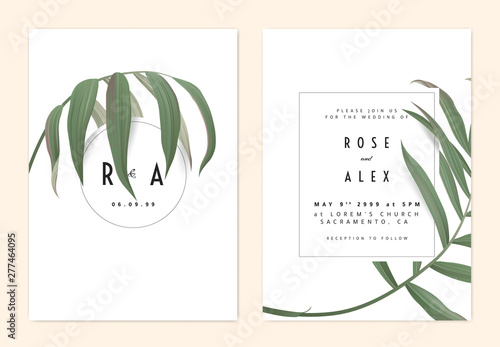 Minimalist botanical wedding invitation card template design, green bamboo palm leaves with circle and rectangle frames on white