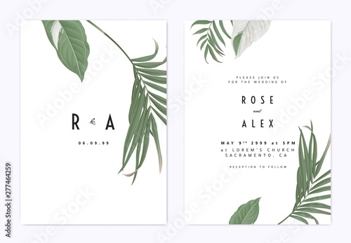 Valokuvatapetti Minimalist botanical wedding invitation card template design, green bamboo palm