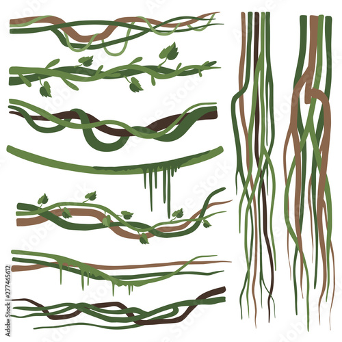 Tropical Liana Branches, Stems, Vines Set, Jungle Plants Decorative Elements, Rainforest Flora Vector Illustration
