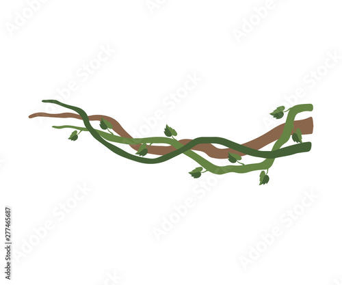 Liana Branches with Leaves, Jungle Plant Decorative Element, Rainforest Flora Vector Illustration