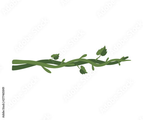 Green Tropical Winding Liana Branches with Leaves, Jungle Plant Decorative Element, Rainforest Flora Vector Illustration