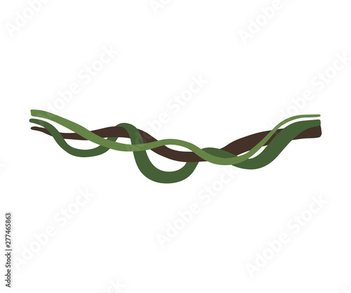 Tropical Winding Liana Stems, Vines, Jungle Plant Decorative Element, Rainforest Flora Vector Illustration